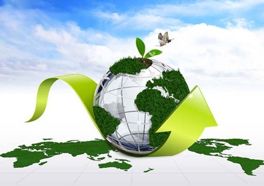 如何提高环境评价的准确性和可靠性？