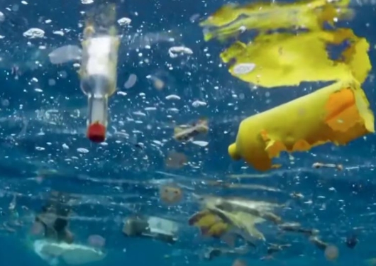 塑料垃圾对环境的危害