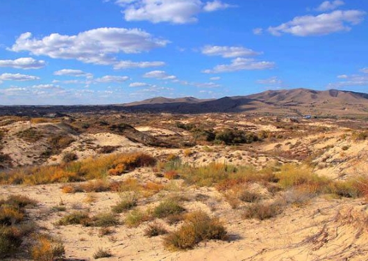 造成草场退化的原因是什么？